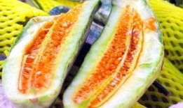 山东网红吃烧瓜,传统美食新风尚