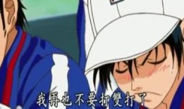网球王子日语版在线观看,热血青春，网球场上的巅峰对决